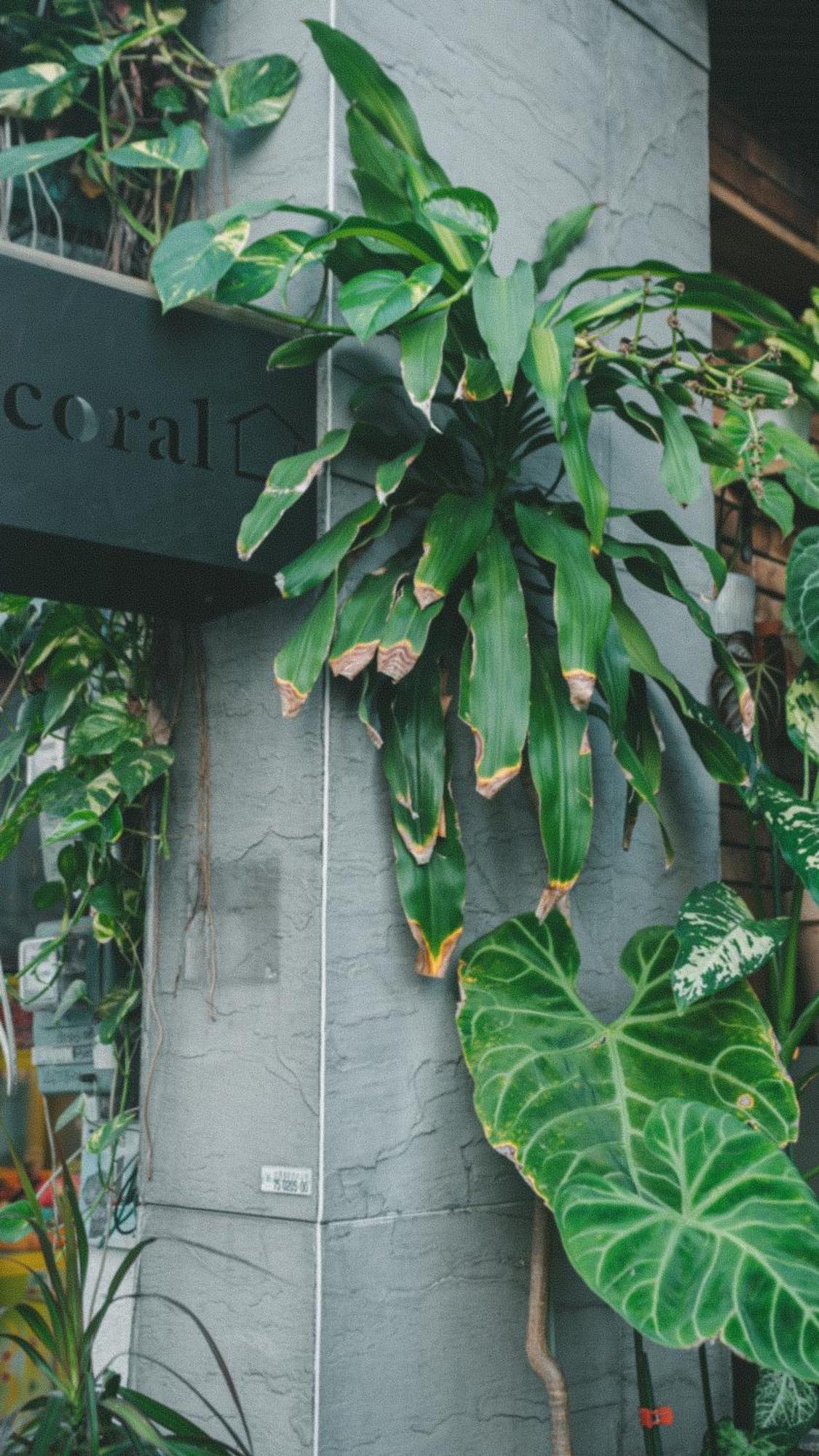 Coral B&B Xiaoliuqiu Dış mekan fotoğraf